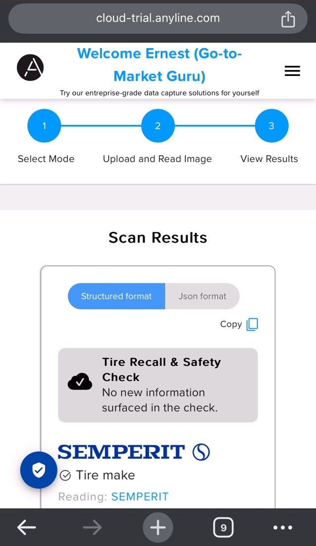 Anyline / TireBuddy, stage 7: Same web demo results: 'Scan Results' for a SEMPERIT tyre (model SPEED-LIFE 2, age 6 y/o) 