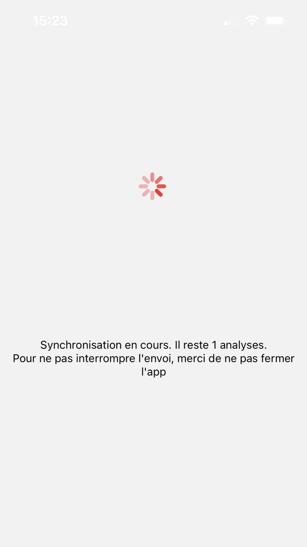 CaRool, stage 6: Workshop app full-screen spinner with text 'Synchronisation en cours. Il reste 1 analyses.